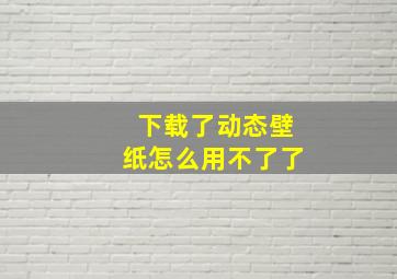 下载了动态壁纸怎么用不了了