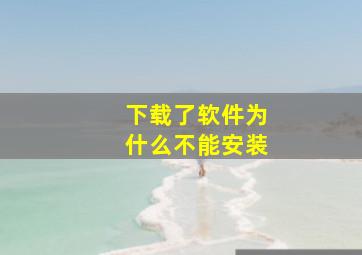 下载了软件为什么不能安装