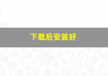 下载后安装好