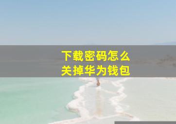 下载密码怎么关掉华为钱包