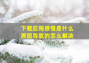 下载应用很慢是什么原因导致的怎么解决