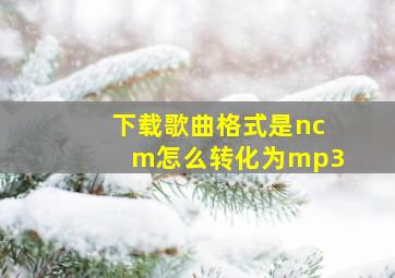 下载歌曲格式是ncm怎么转化为mp3