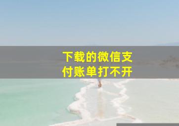 下载的微信支付账单打不开