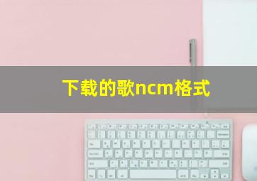 下载的歌ncm格式