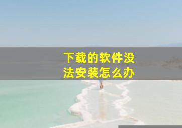 下载的软件没法安装怎么办