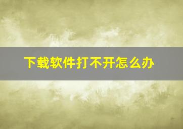 下载软件打不开怎么办