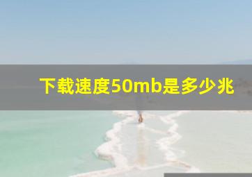 下载速度50mb是多少兆