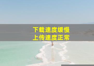 下载速度缓慢上传速度正常