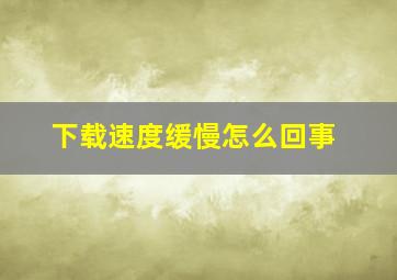 下载速度缓慢怎么回事