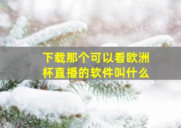 下载那个可以看欧洲杯直播的软件叫什么