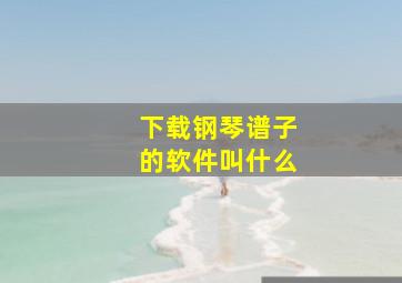 下载钢琴谱子的软件叫什么