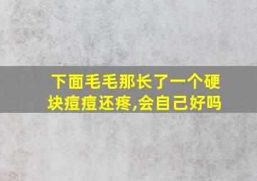 下面毛毛那长了一个硬块痘痘还疼,会自己好吗