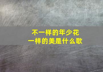 不一样的年少花一样的美是什么歌