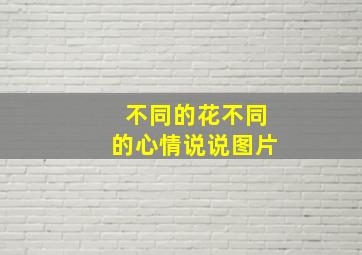 不同的花不同的心情说说图片