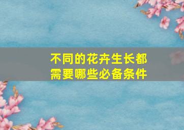 不同的花卉生长都需要哪些必备条件