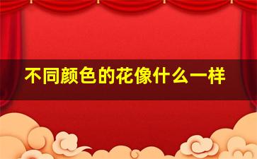 不同颜色的花像什么一样