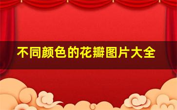 不同颜色的花瓣图片大全