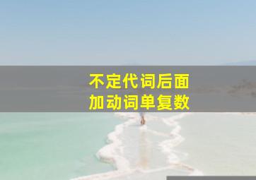 不定代词后面加动词单复数