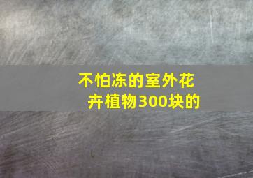 不怕冻的室外花卉植物300块的