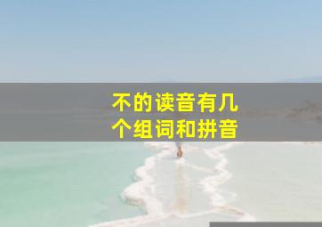 不的读音有几个组词和拼音