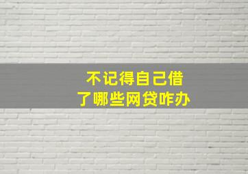 不记得自己借了哪些网贷咋办