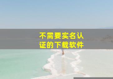 不需要实名认证的下载软件