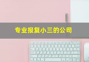 专业报复小三的公司