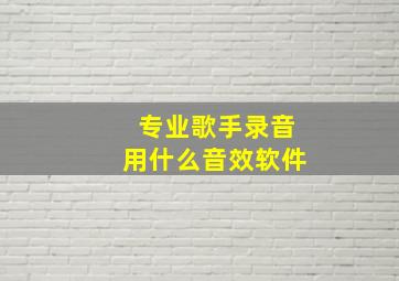 专业歌手录音用什么音效软件