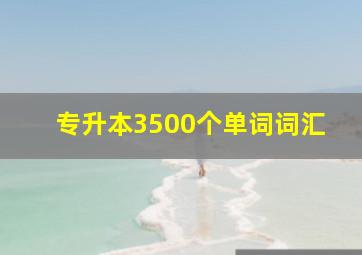 专升本3500个单词词汇