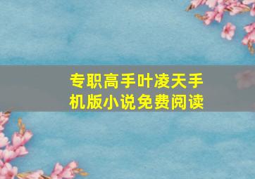 专职高手叶凌天手机版小说免费阅读