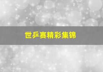 世乒赛精彩集锦