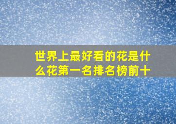 世界上最好看的花是什么花第一名排名榜前十