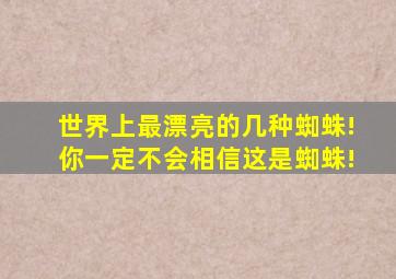 世界上最漂亮的几种蜘蛛!你一定不会相信这是蜘蛛!