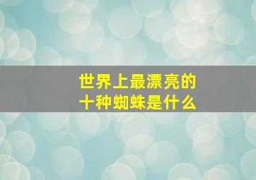 世界上最漂亮的十种蜘蛛是什么