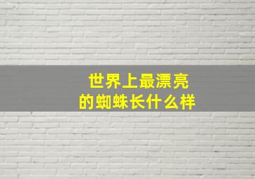 世界上最漂亮的蜘蛛长什么样