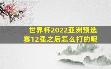 世界杯2022亚洲预选赛12强之后怎么打的呢