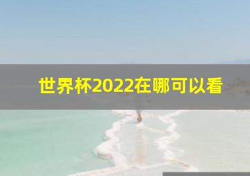 世界杯2022在哪可以看