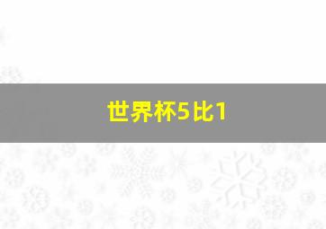 世界杯5比1