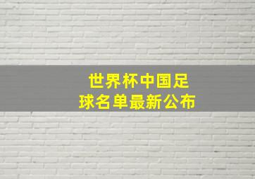 世界杯中国足球名单最新公布