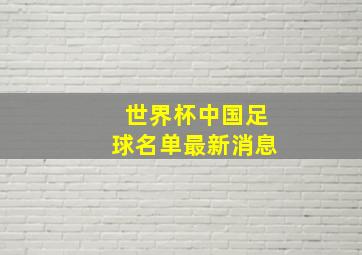 世界杯中国足球名单最新消息