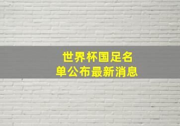 世界杯国足名单公布最新消息