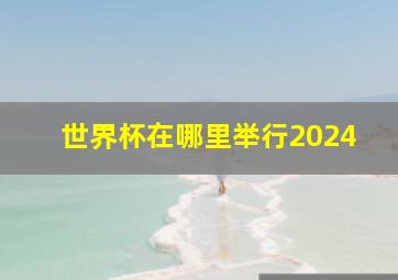 世界杯在哪里举行2024