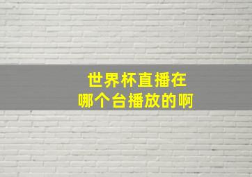 世界杯直播在哪个台播放的啊