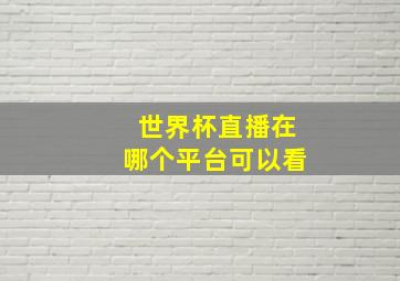 世界杯直播在哪个平台可以看