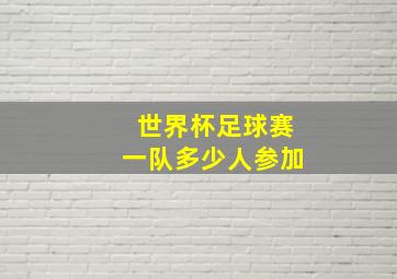 世界杯足球赛一队多少人参加