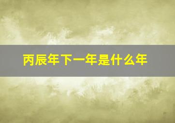 丙辰年下一年是什么年