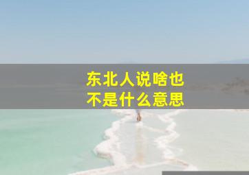 东北人说啥也不是什么意思