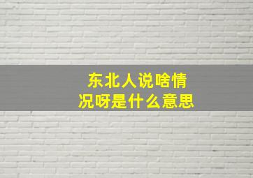 东北人说啥情况呀是什么意思