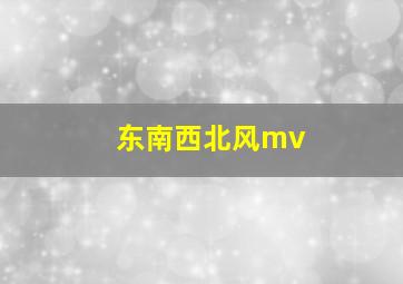 东南西北风mv