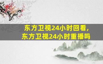 东方卫视24小时回看,东方卫视24小时重播吗